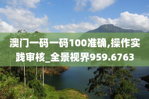 澳门一码一码100准确,操作实践审核_全景视界959.6763