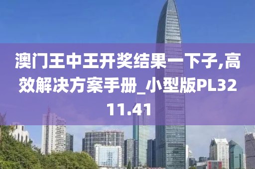 澳门王中王开奖结果一下子,高效解决方案手册_小型版PL3211.41