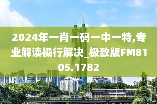 2024年一肖一码一中一特,专业解读操行解决_极致版FM8105.1782