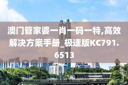澳门管家婆一肖一码一特,高效解决方案手册_极速版KC791.6513