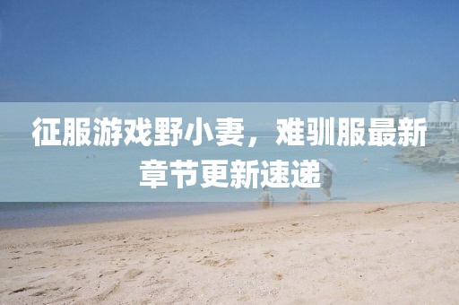 征服游戏野小妻，难驯服最新章节更新速递