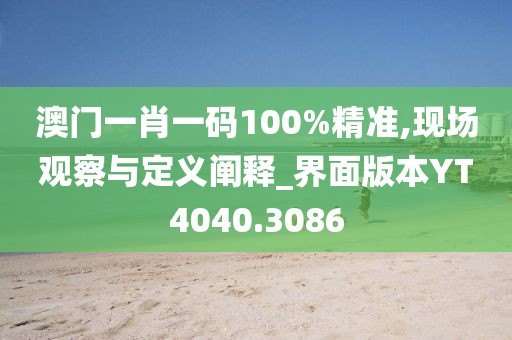澳门一肖一码100%精准,现场观察与定义阐释_界面版本YT4040.3086