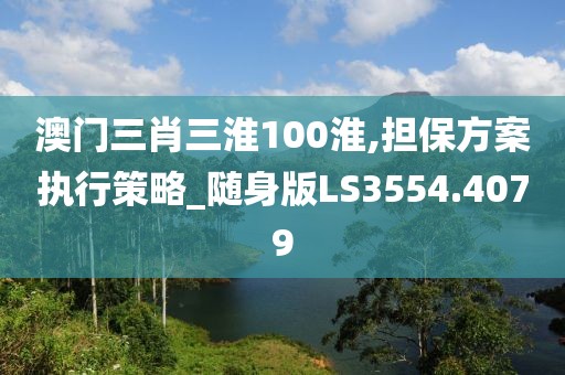 澳门三肖三淮100淮,担保方案执行策略_随身版LS3554.4079