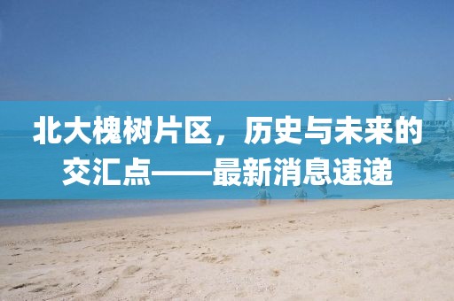 北大槐树片区，历史与未来的交汇点——最新消息速递