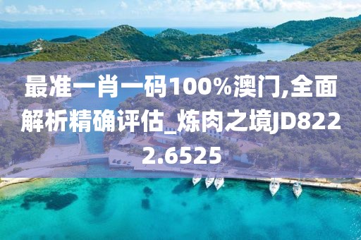 最准一肖一码100%澳门,全面解析精确评估_炼肉之境JD8222.6525