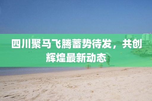 四川聚马飞腾蓄势待发，共创辉煌最新动态