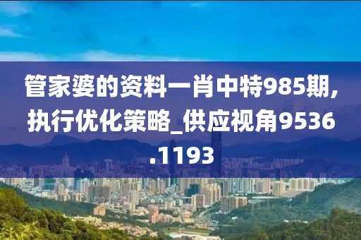 管家婆的资料一肖中特985期,执行优化策略_供应视角9536.1193