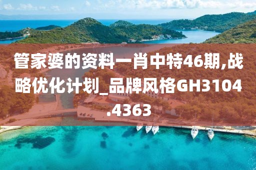 管家婆的资料一肖中特46期,战略优化计划_品牌风格GH3104.4363