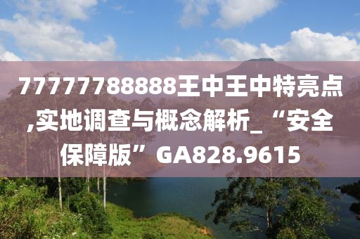 77777788888王中王中特亮点,实地调查与概念解析_“安全保障版”GA828.9615