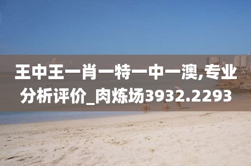 王中王一肖一特一中一澳,专业分析评价_肉炼场3932.2293