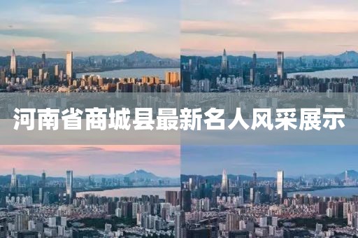 河南省商城县最新名人风采展示