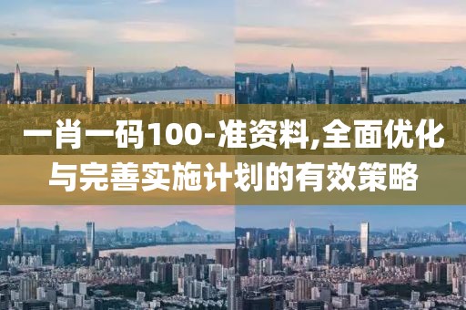 一肖一码100-准资料,全面优化与完善实施计划的有效策略