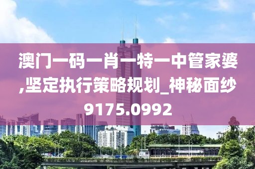 澳门一码一肖一特一中管家婆,坚定执行策略规划_神秘面纱9175.0992