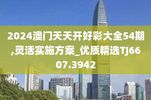 2024澳门天天开好彩大全54期,灵活实施方案_优质精选TJ6607.3942