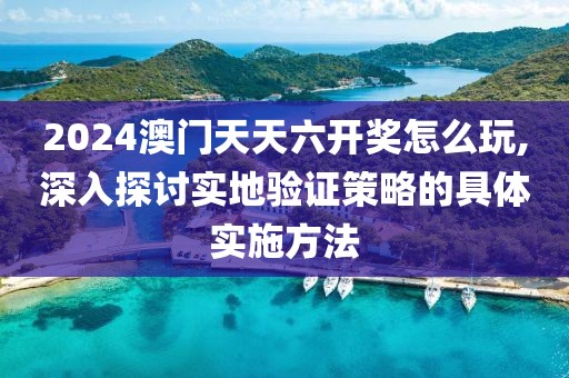 2024澳门天天六开奖怎么玩,深入探讨实地验证策略的具体实施方法