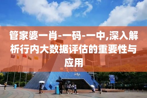 管家婆一肖-一码-一中,深入解析行内大数据评估的重要性与应用