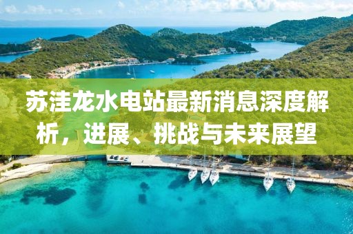 苏洼龙水电站最新消息深度解析，进展、挑战与未来展望