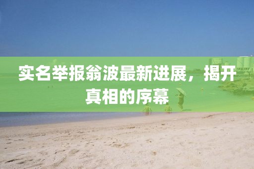 实名举报翁波最新进展，揭开真相的序幕