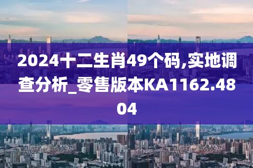 2024十二生肖49个码,实地调查分析_零售版本KA1162.4804