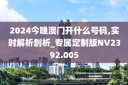 2024今晚澳门开什么号码,实时解析剖析_专属定制版NV2392.005
