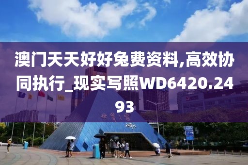 澳门天天好好兔费资料,高效协同执行_现实写照WD6420.2493