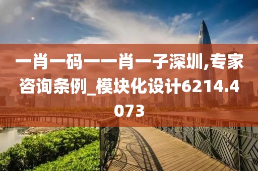 一肖一码一一肖一子深圳,专家咨询条例_模块化设计6214.4073