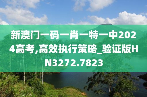 新澳门一码一肖一特一中2024高考,高效执行策略_验证版HN3272.7823