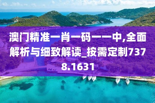 澳门精准一肖一码一一中,全面解析与细致解读_按需定制7378.1631