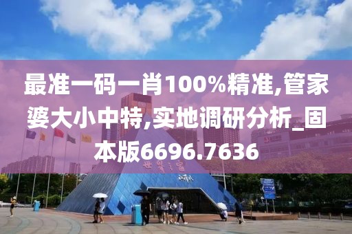 最准一码一肖100%精准,管家婆大小中特,实地调研分析_固本版6696.7636