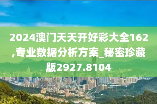 2024澳门天天开好彩大全162,专业数据分析方案_秘密珍藏版2927.8104