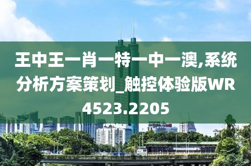 王中王一肖一特一中一澳,系统分析方案策划_触控体验版WR4523.2205