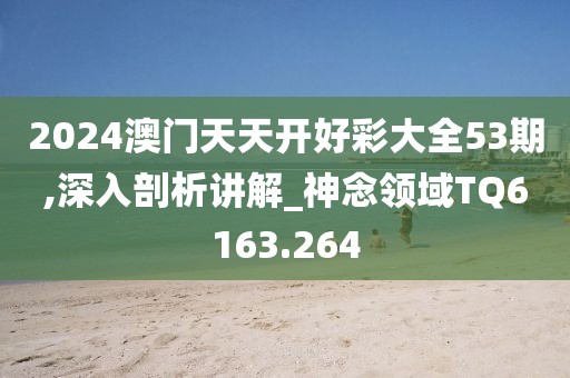 2024澳门天天开好彩大全53期,深入剖析讲解_神念领域TQ6163.264