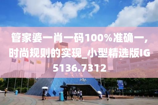 管家婆一肖一码100%准确一,时尚规则的实现_小型精选版IG5136.7312