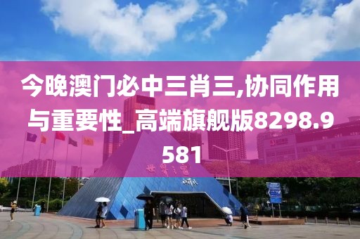 今晚澳门必中三肖三,协同作用与重要性_高端旗舰版8298.9581