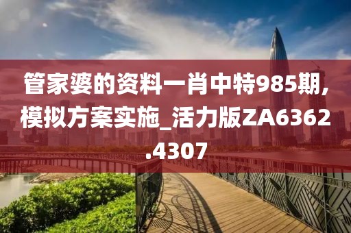 管家婆的资料一肖中特985期,模拟方案实施_活力版ZA6362.4307
