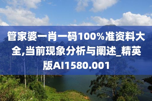 管家婆一肖一码100%准资料大全,当前现象分析与阐述_精英版AI1580.001