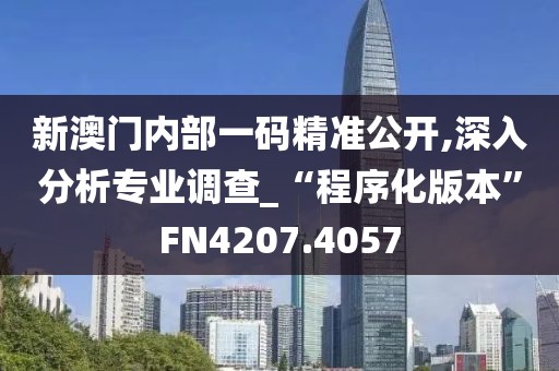 新澳门内部一码精准公开,深入分析专业调查_“程序化版本”FN4207.4057