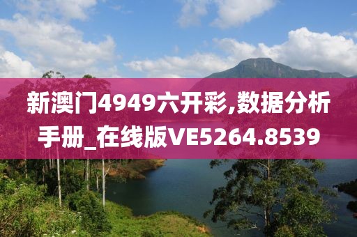 新澳门4949六开彩,数据分析手册_在线版VE5264.8539