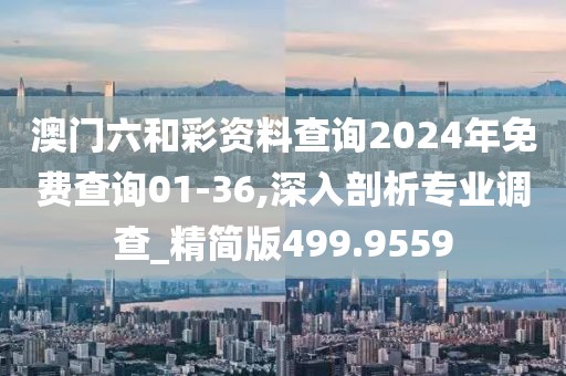 澳门六和彩资料查询2024年免费查询01-36,深入剖析专业调查_精简版499.9559