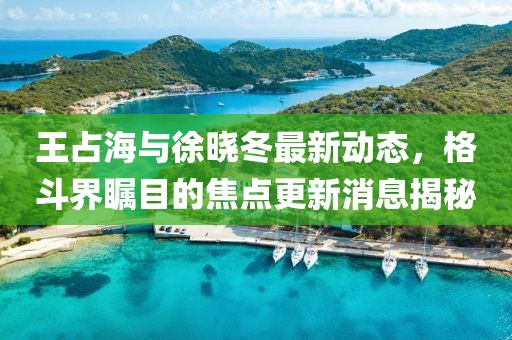 王占海与徐晓冬最新动态，格斗界瞩目的焦点更新消息揭秘