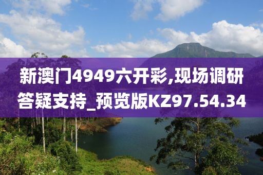 新澳门4949六开彩,现场调研答疑支持_预览版KZ97.54.34
