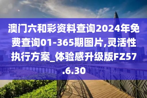澳门六和彩资料查询2024年免费查询01-365期图片,灵活性执行方案_体验感升级版FZ57.6.30