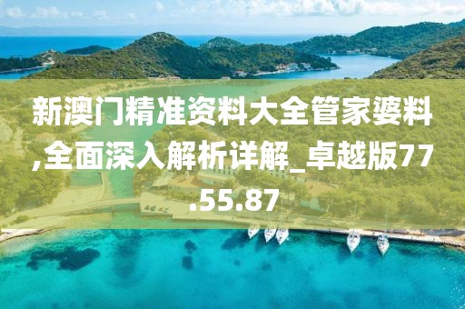 新澳门精准资料大全管家婆料,全面深入解析详解_卓越版77.55.87