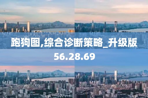 跑狗图,综合诊断策略_升级版56.28.69