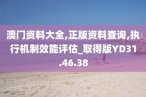澳门资料大全,正版资料查询,执行机制效能评估_取得版YD31.46.38