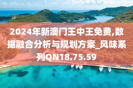 2024年新澳门王中王免费,数据融合分析与规划方案_风味系列QN18.75.59