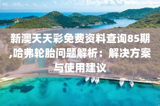新澳天天彩免费资料查询85期,哈弗轮胎问题解析：解决方案与使用建议