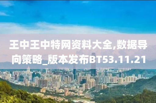王中王中特网资料大全,数据导向策略_版本发布BT53.11.21