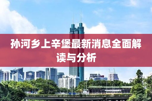 孙河乡上辛堡最新消息全面解读与分析