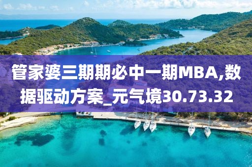 管家婆三期期必中一期MBA,数据驱动方案_元气境30.73.32